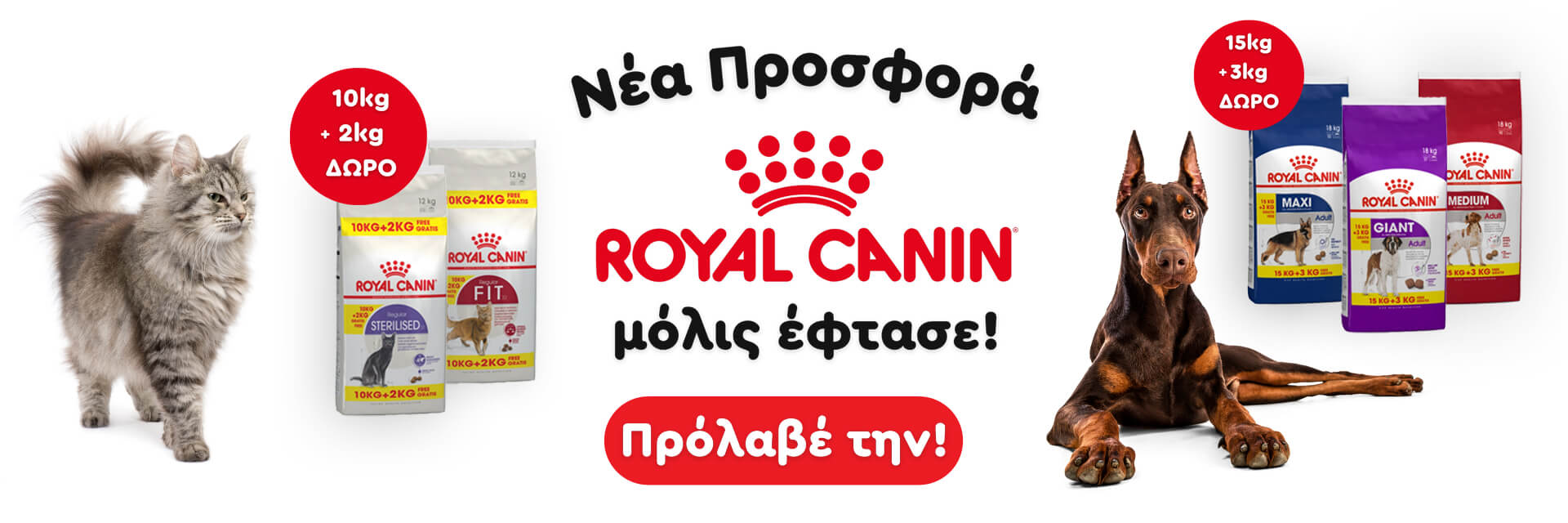 royal_offer