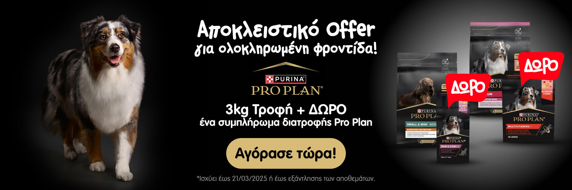 Pro_Plan_feb_2025