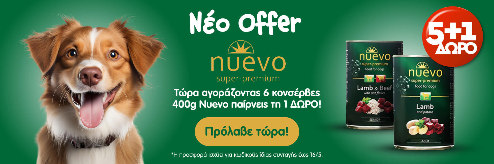 nuevo_offer_dog_may2025