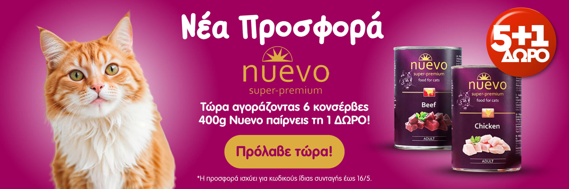 nuevo_offer_cat_may2025