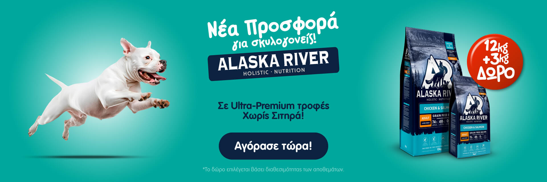 alaska_river_dog