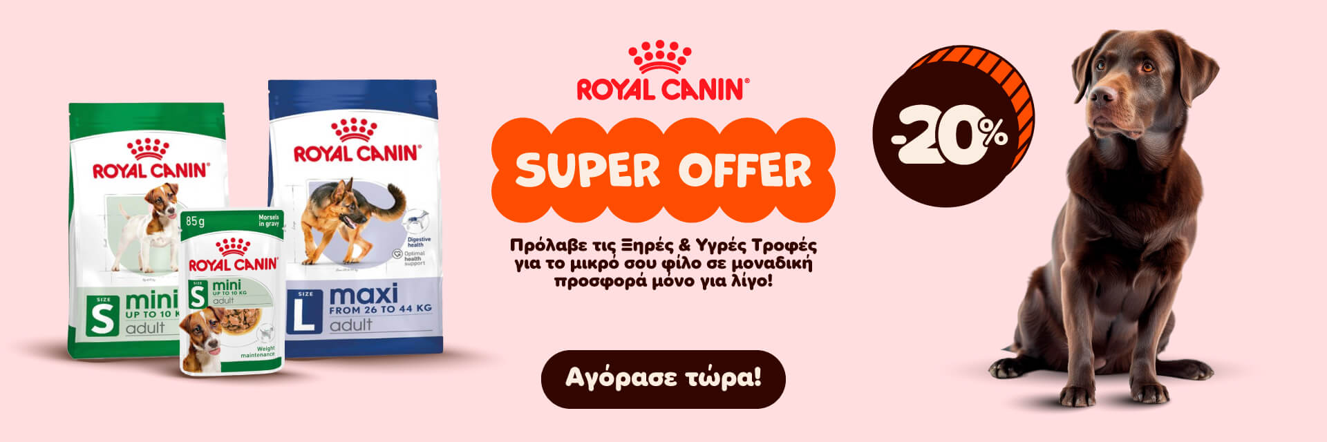 rc_promo_sep2025_dog