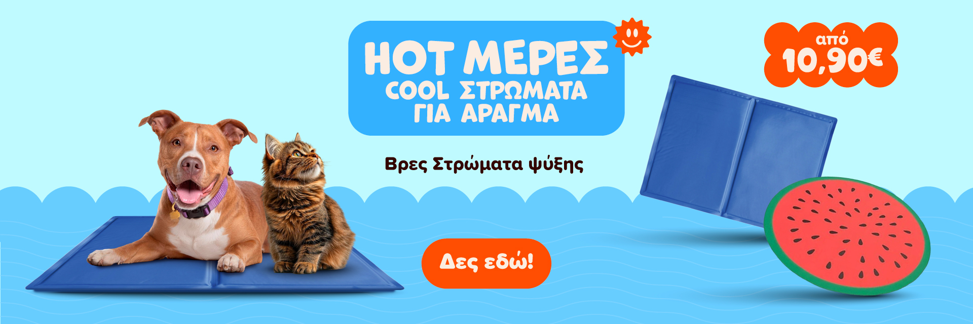 kalokairina_strwmata_dog