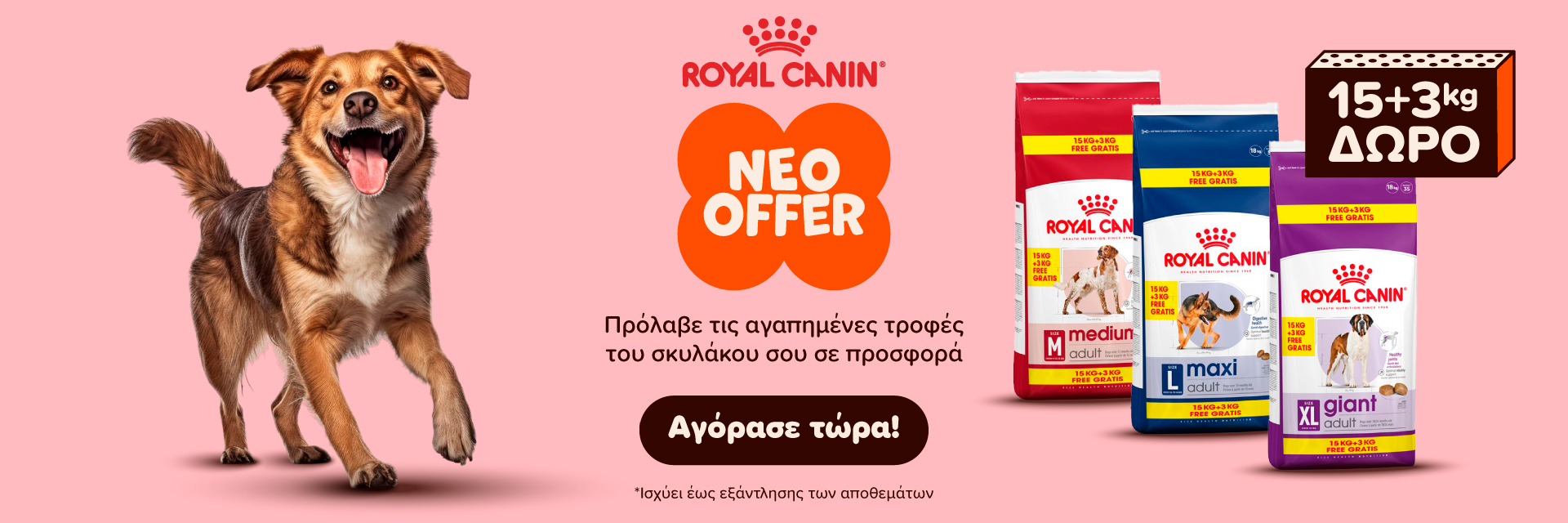 royal_dog_offer